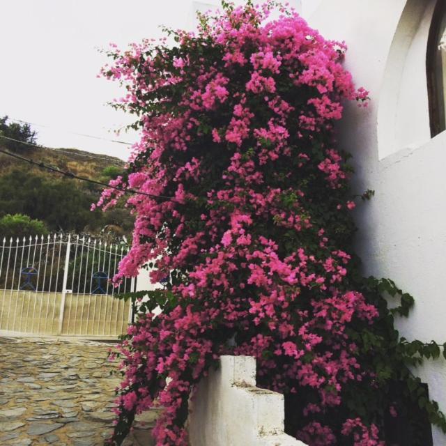 Mojacar Home With Mountain Views المظهر الخارجي الصورة